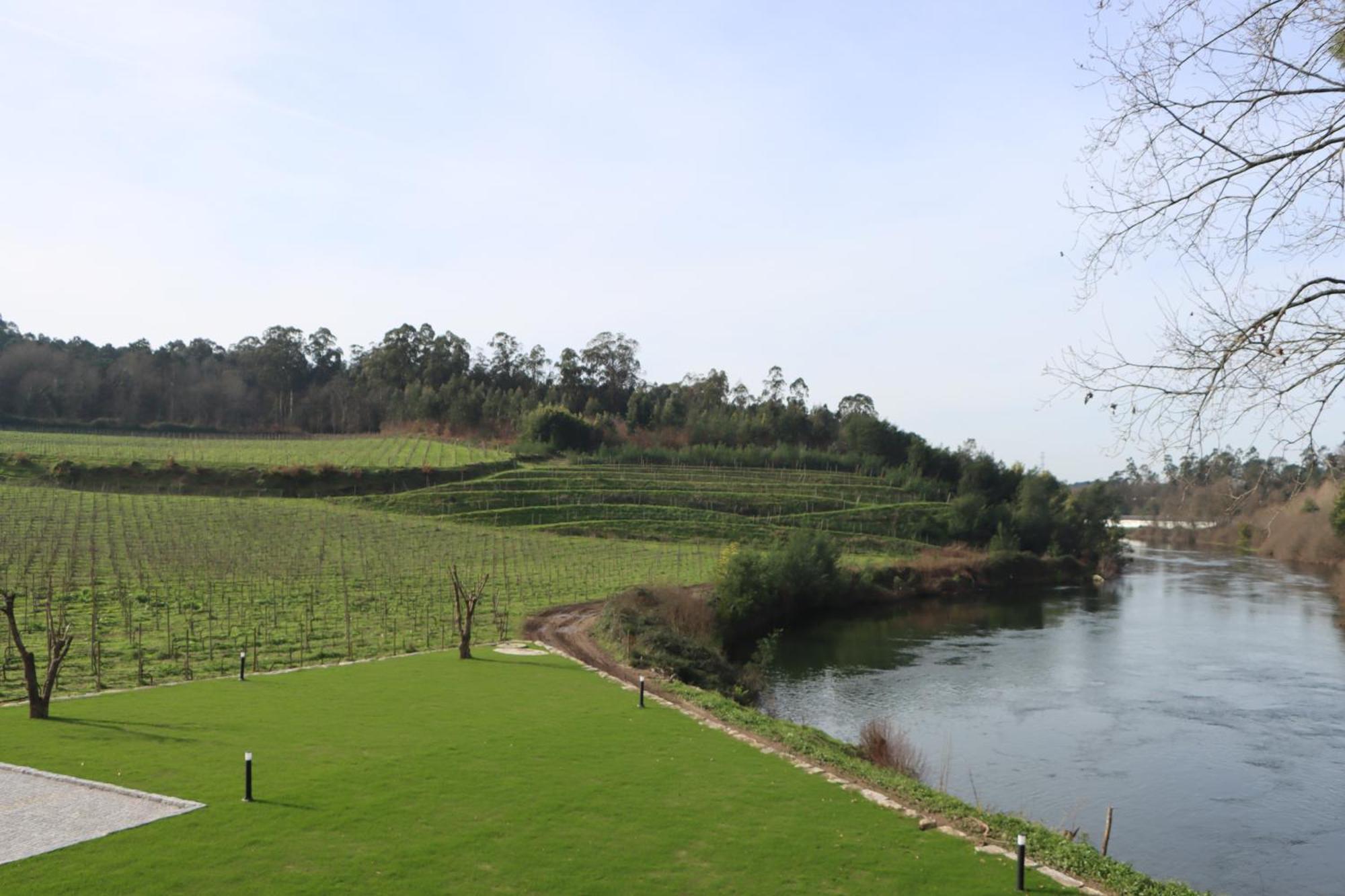 Vila Quinta Das Areias - Solar Da Pena Braga Exteriér fotografie